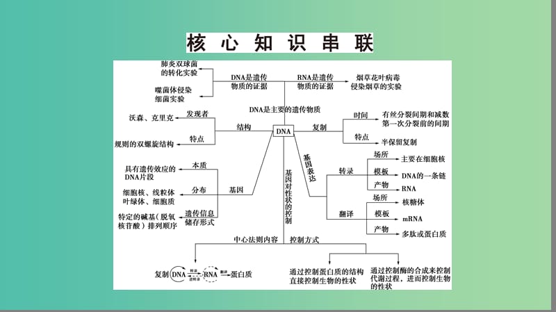 高考生物二轮复习 第1部分 板块2 遗传 专题6 遗传的分子基础课件.ppt_第3页