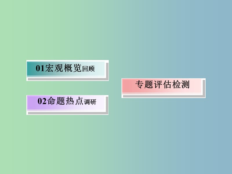 高三政治二轮复习专题五我国的公民与政府课件.ppt_第2页