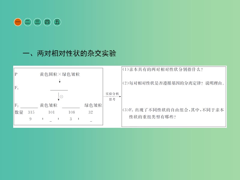 高中生物 第1章 遗传因子的发现 第1节 孟德尔的豌豆杂交实验（二）课件 新人教版必修2.ppt_第3页