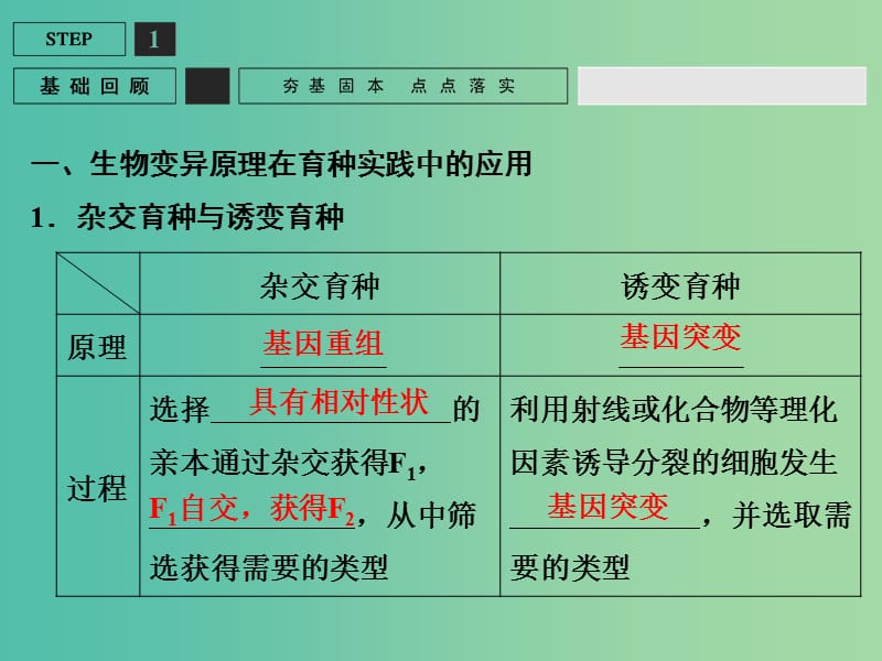 高考生物一轮复习 第3单元 基础课时案23 从杂交育种到基因工程课件 新人教版必修2.ppt_第3页