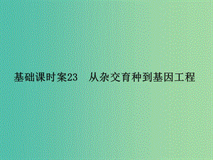 高考生物一輪復(fù)習(xí) 第3單元 基礎(chǔ)課時(shí)案23 從雜交育種到基因工程課件 新人教版必修2.ppt