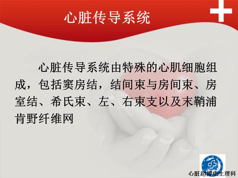 心律失常患者健康教育.ppt_第2页