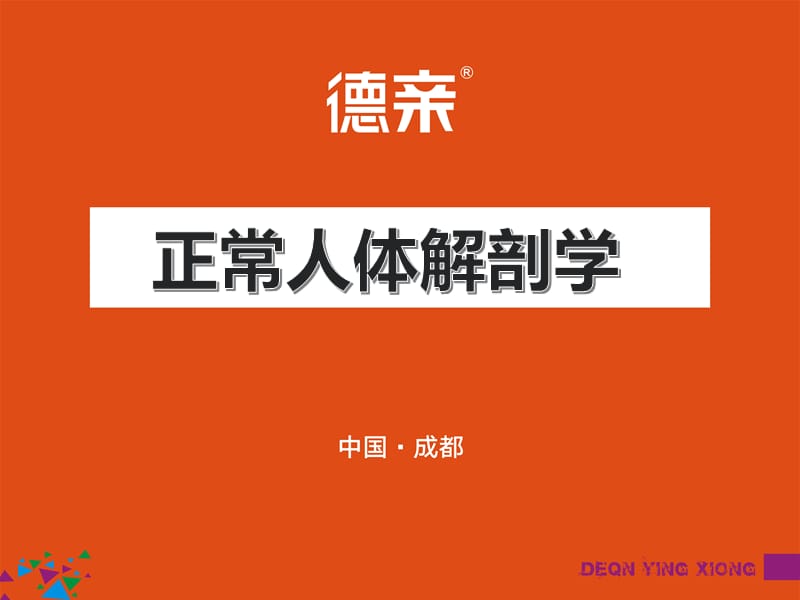 正常人体解剖学课件.ppt_第1页