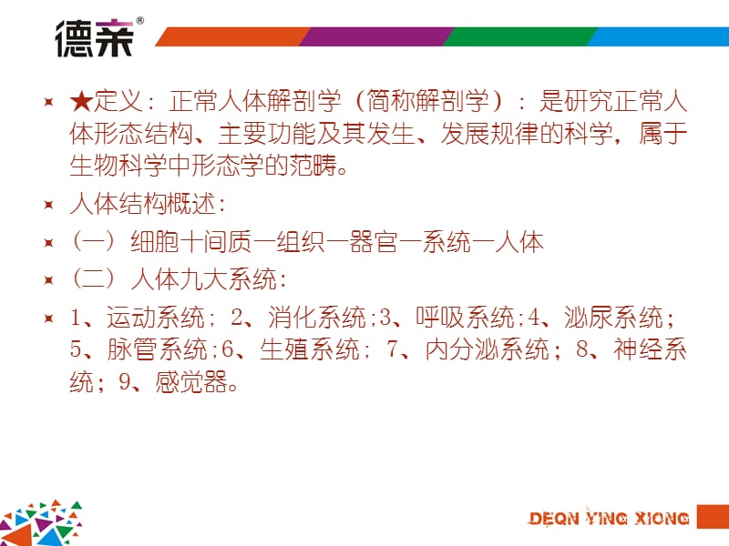 正常人体解剖学课件.ppt_第2页