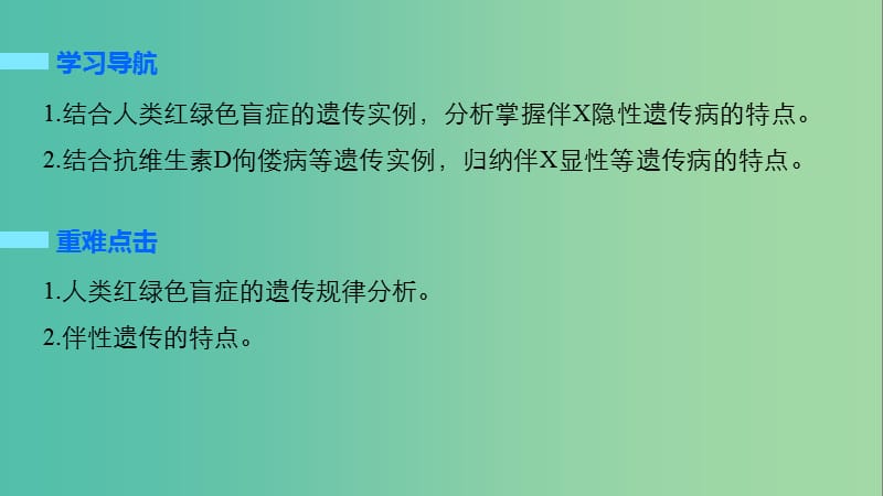 高中生物 2.3.1 人类红绿色盲症、伴性遗传的特点课件 新人教版必修2.ppt_第2页