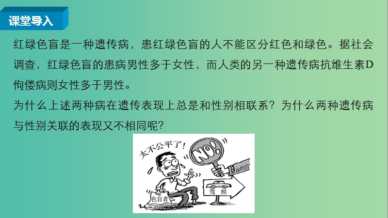 高中生物 2.3.1 人类红绿色盲症、伴性遗传的特点课件 新人教版必修2.ppt_第3页