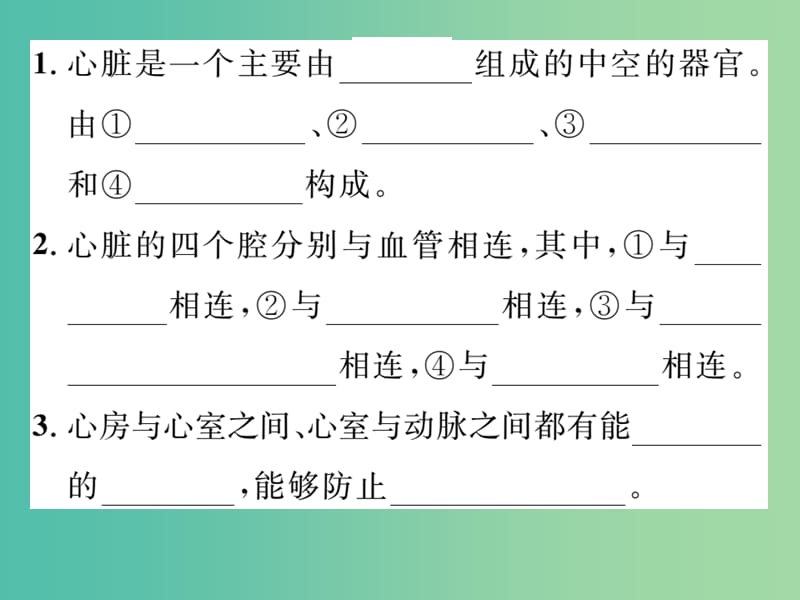 七年级生物下册 第四章 第三节 输送血液的泵──心脏（第1课时 心脏的结构和功能）课件 新人教版.ppt_第3页