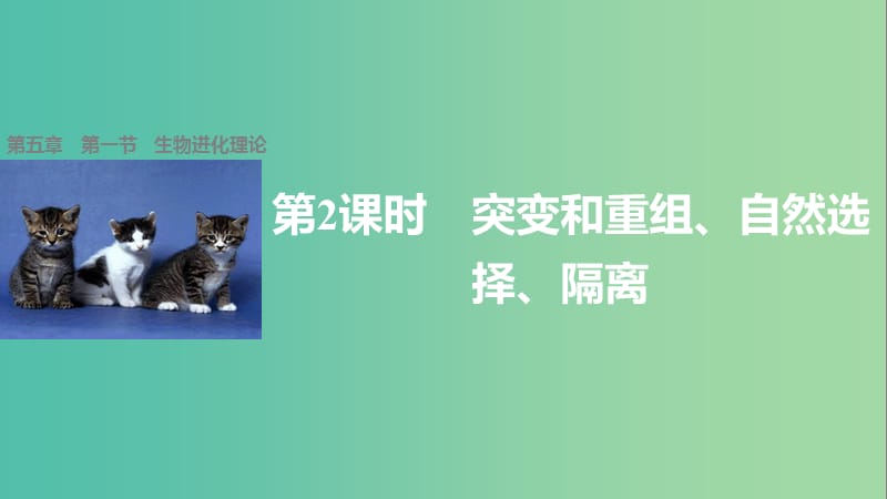 高中生物 5.1 突变和重组、自然选择、隔离（第2课时）课件 苏教版必修2.ppt_第1页