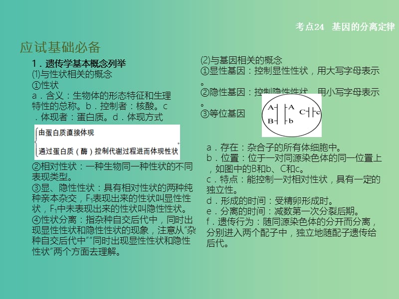 高考生物二轮复习 专题8 遗传的基本规律课件.ppt_第3页