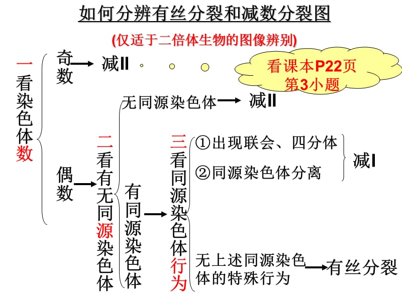 减数分裂和有丝分裂异同点比较.ppt_第3页