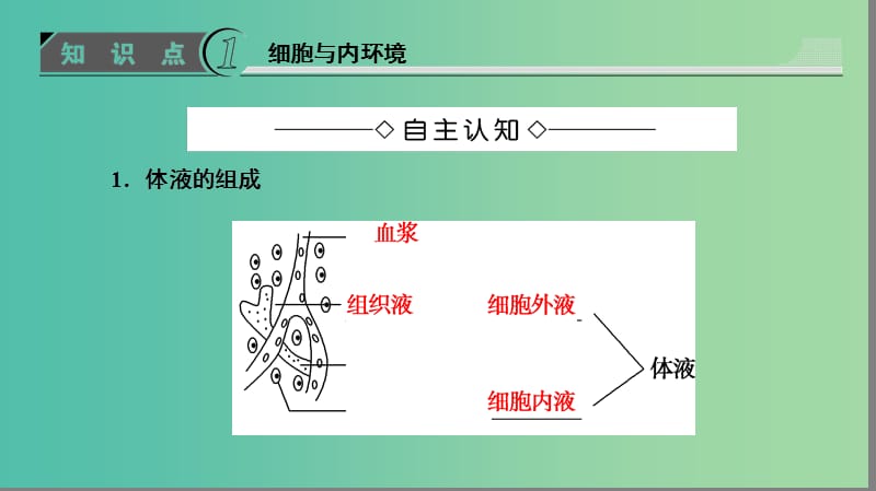 高中生物 第1单元 生物个体的稳态与调节 第2章 动物稳态维持及其意义 第1节 内环境与稳态课件 中图版必修3.ppt_第3页