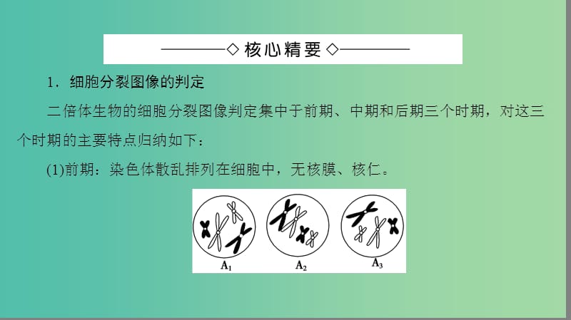 高中生物 第1单元 遗传与变异的细胞学基础 微专题突破课件 中图版必修2.ppt_第2页