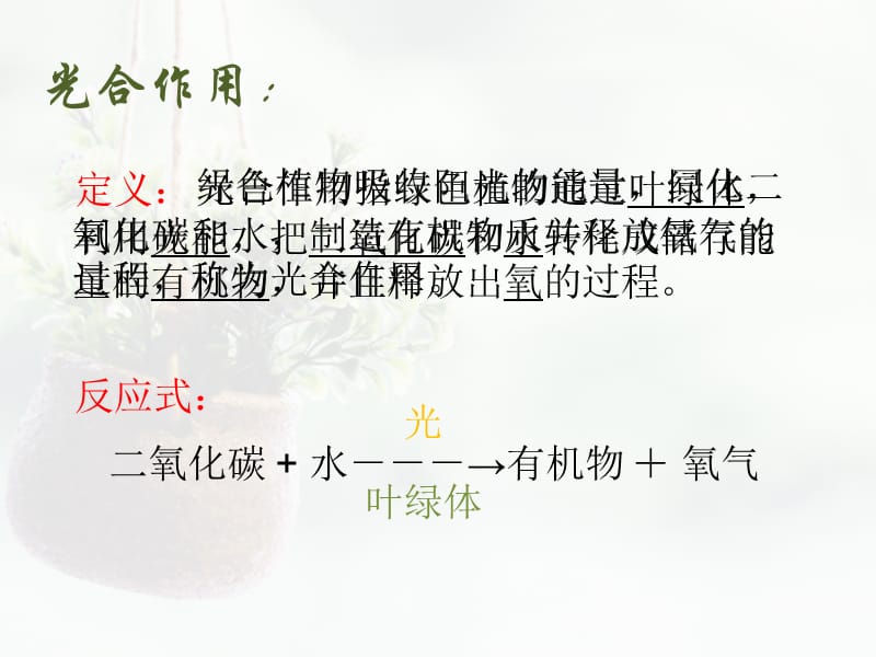 光合作用和呼吸作用的比较.ppt_第2页