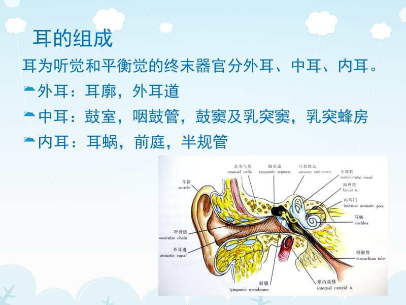 医学影像-耳的影像解剖及常见疾病诊断.ppt_第3页