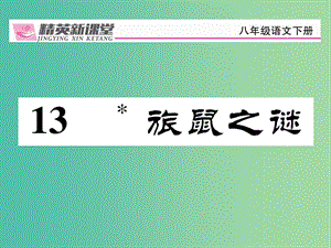 八年級(jí)語文下冊 第3單元 13 旅鼠之謎課件 （新版）新人教版.ppt