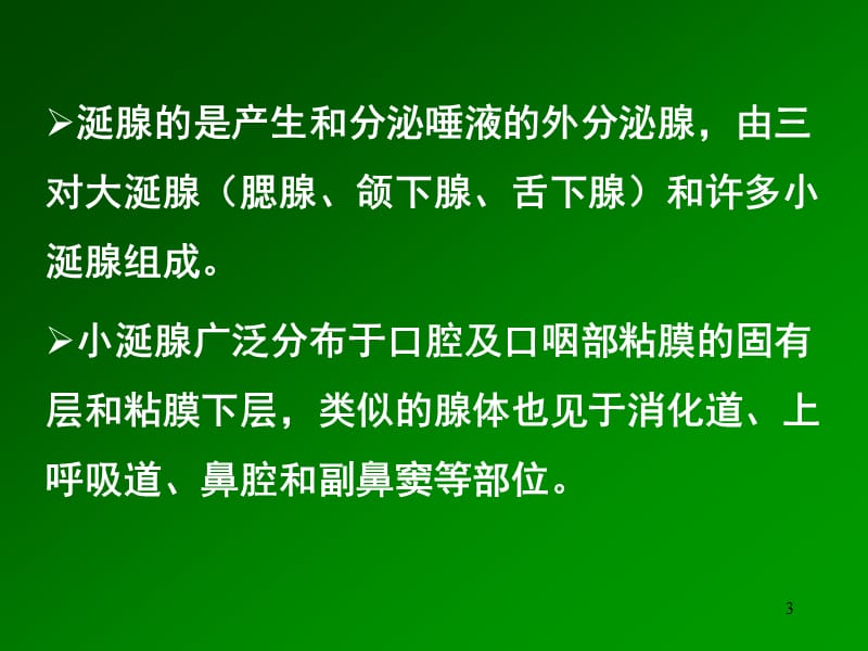 涎腺组织学及常见肿瘤的诊断ppt课件_第3页