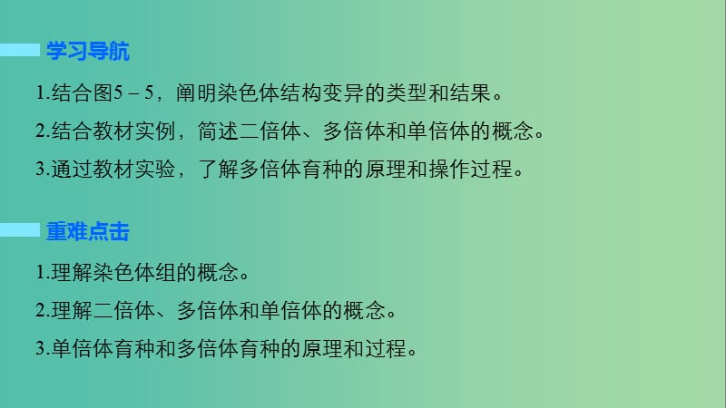 高中生物 5.2 染色体变异课件 新人教版必修2.ppt_第2页