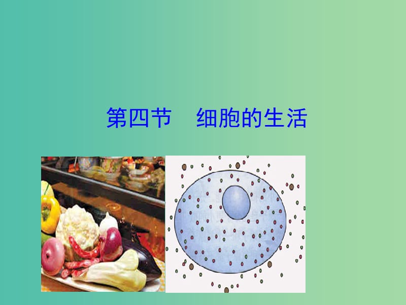 七年级生物上册 2.1.4 细胞的生活课件教学课件 新人教版.ppt_第1页