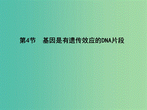 高中生物 第3章 第4節(jié) 基因的本質 基因是有遺傳效應的DNA片段課件 新人教版必修2.ppt