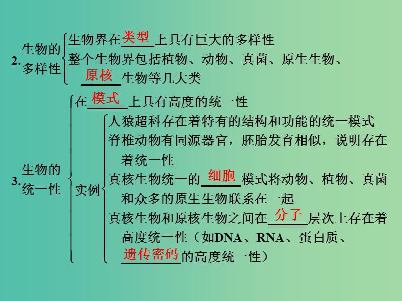 高考生物总复习 第四单元 遗传的分子基础 第15讲 生物的进化课件.ppt_第3页