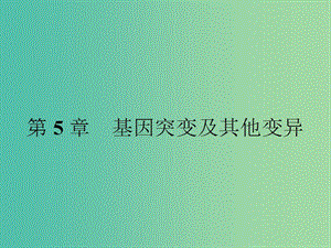 高中生物 5.1 基因突變和基因重組課件 新人教版.ppt