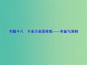 高考語文一輪總復(fù)習(xí) 專題18 豐富與深刻課件.ppt