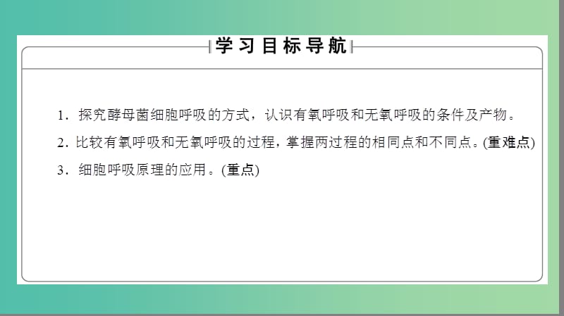 高中生物 第5章 细胞的能量供应和利用 第3节 ATP的主要来源——细胞呼吸课件 新人教版必修1.ppt_第2页