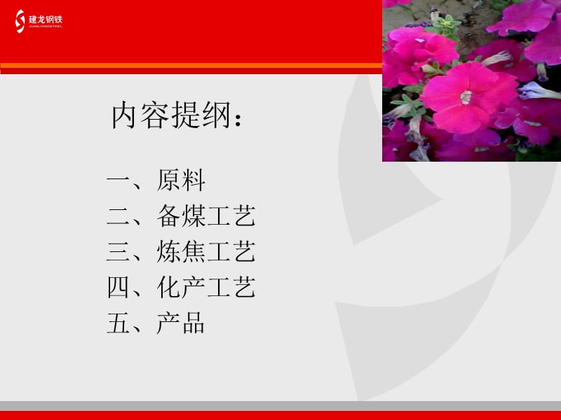 焦化厂详细工艺流程.ppt_第2页