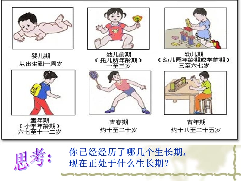 小学生青春期健康知识讲座(女孩).ppt_第2页