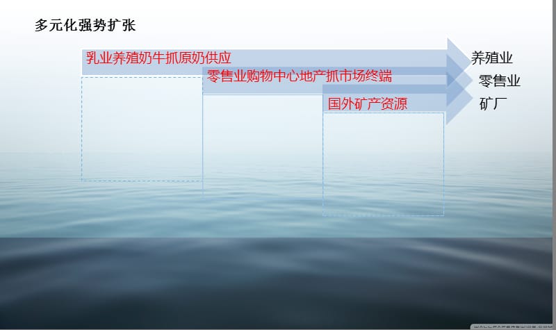 娃哈哈多元化案例分析.ppt_第3页