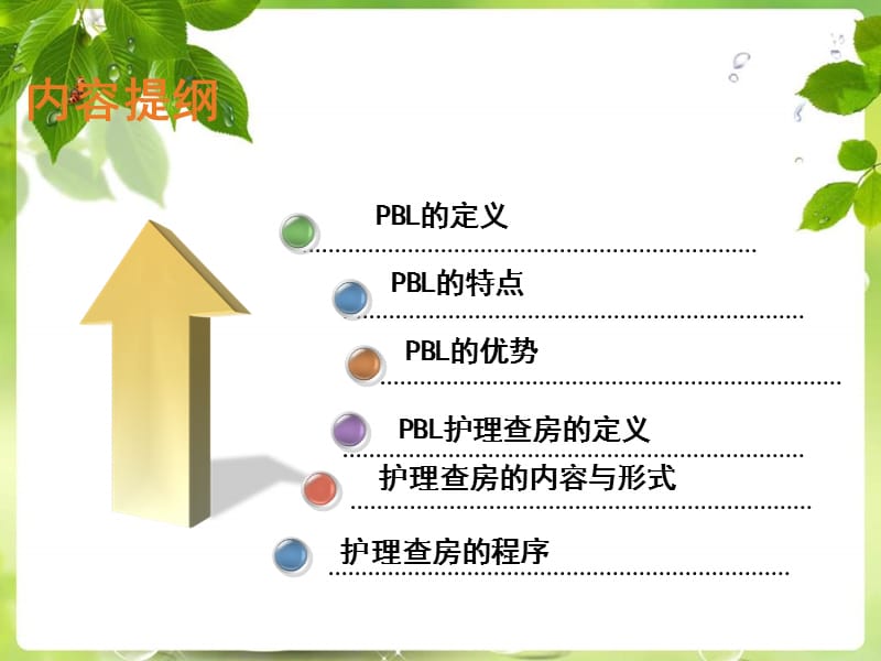 开展PBL护理查房模式.ppt_第2页