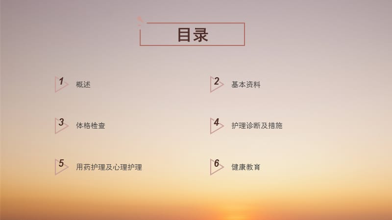 急性白血病护理查房.ppt_第2页