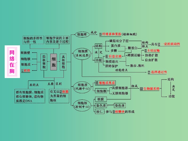 高考生物二轮复习 第一部分 专题一 细胞系统 第2讲 细胞系统的结构——细胞的亚显微结构课件.ppt_第2页