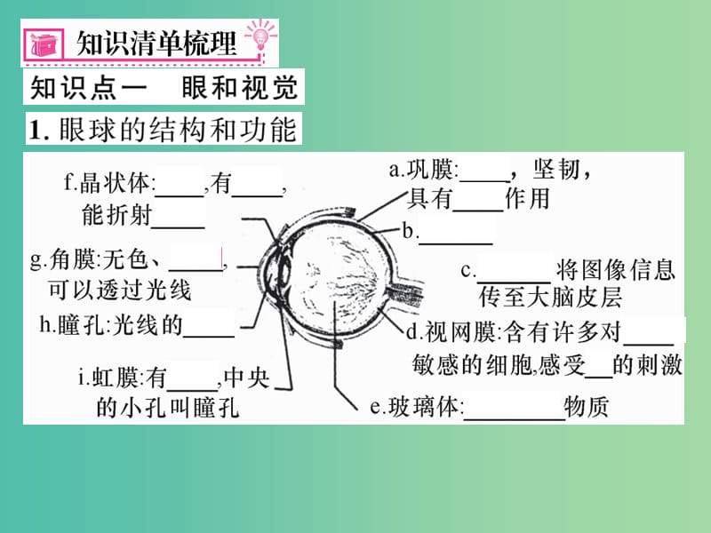 七年级生物下学期期末复习六 人体生命活动的调节课件 新人教版.ppt_第2页