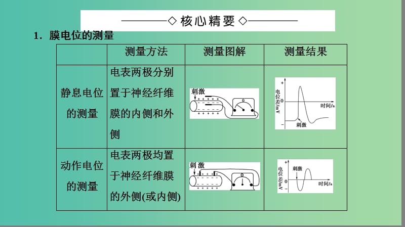 高中生物 第2章 动物生命活动的调节 膜电位的测量与兴奋传导方向的实验分析微专题突破课件 浙科版必修3.ppt_第2页