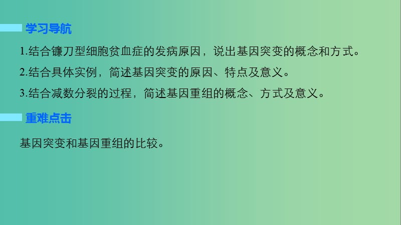 高中生物 4.4 基因突变和基因重组（第1课时）课件 苏教版必修2.ppt_第2页