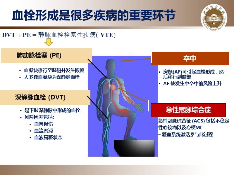 抗凝药物合理应用.ppt_第3页