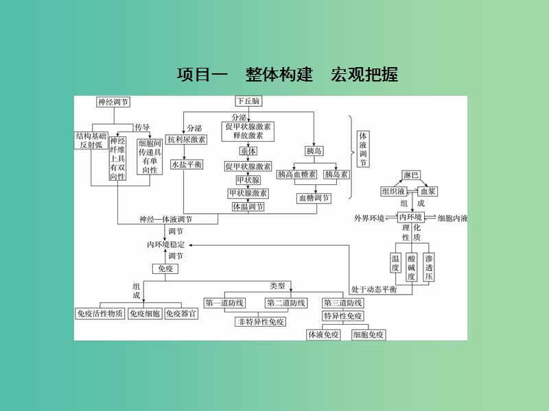 高中生物 第2章 动物和人体生命活动的调节章末总结课件 新人教版必修3.ppt_第3页