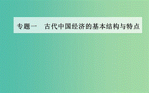 高中歷史 專題一 四 古代中國的經(jīng)濟(jì)政策課件 人民版必修2.PPT