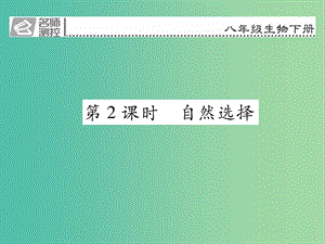 八年級生物下冊 第七單元 第三章 第三節(jié) 生物進(jìn)化的原因（第2課時 自然選擇）課件 （新版）新人教版.ppt