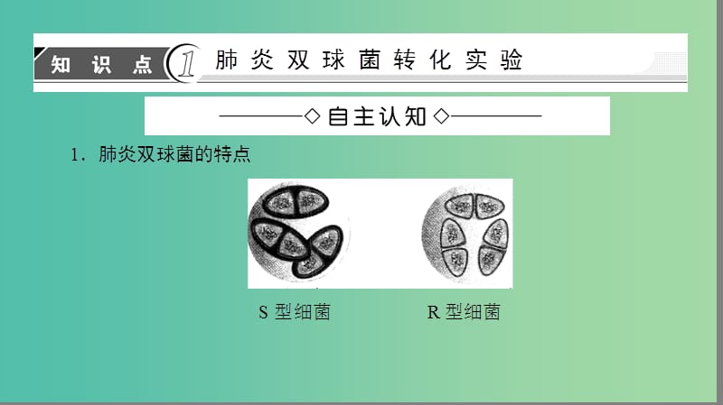 高中生物 第4章 遗传的分子基础 第1节 探索遗传物质的过程课件 苏教版必修2.ppt_第3页