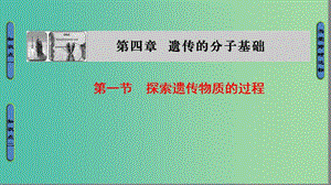 高中生物 第4章 遺傳的分子基礎(chǔ) 第1節(jié) 探索遺傳物質(zhì)的過(guò)程課件 蘇教版必修2.ppt