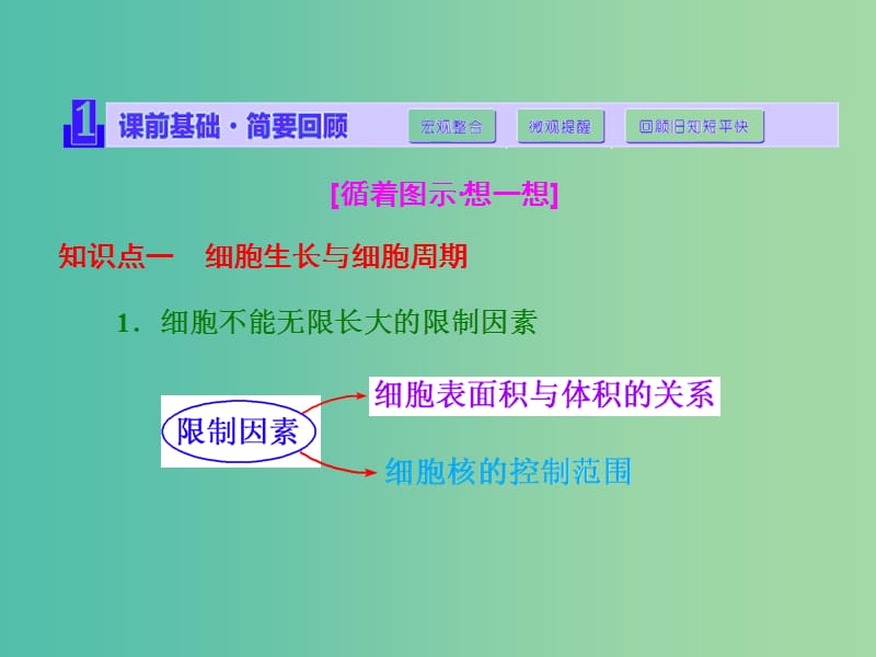 高考生物一轮复习 第四单元 第1讲 细胞的增殖课件 新人教版必修1.ppt_第2页