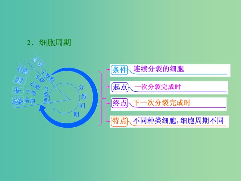 高考生物一轮复习 第四单元 第1讲 细胞的增殖课件 新人教版必修1.ppt_第3页