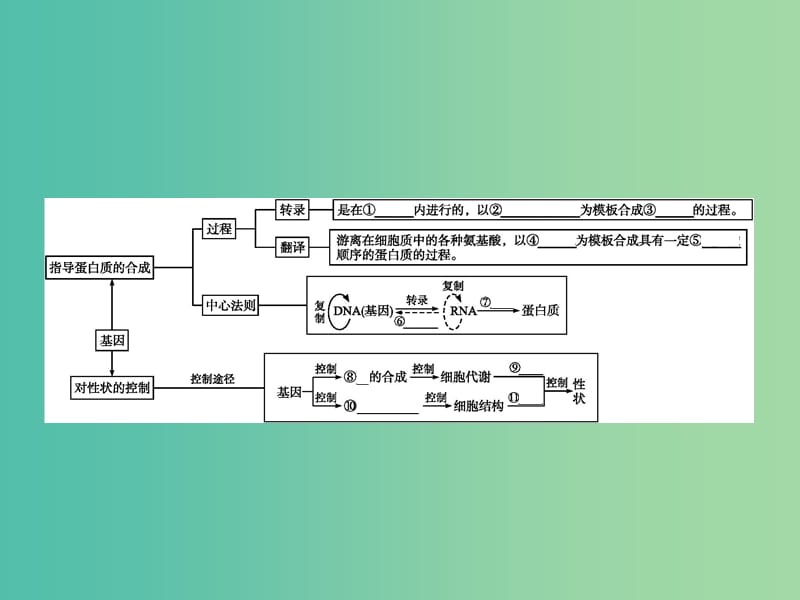 高中生物第4章基因的表达本章整合素材新人教版.ppt_第2页