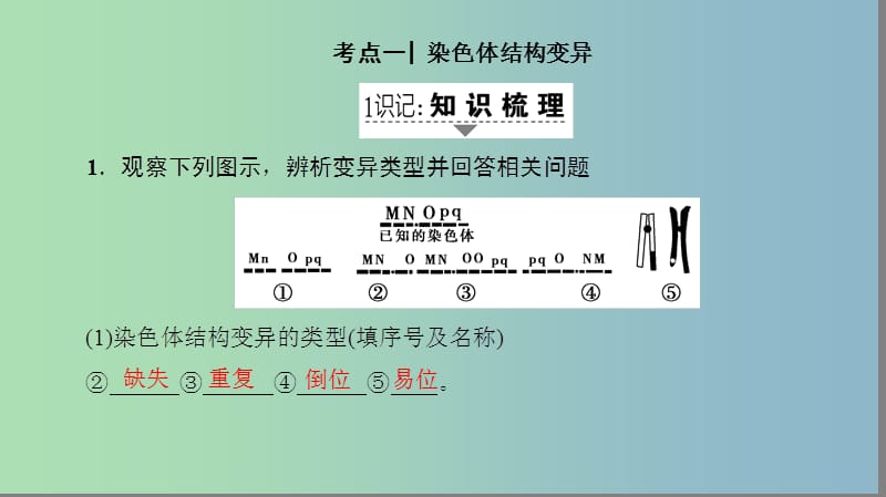 高三生物一轮复习第7单元第2讲染色体变异和人类遗传参件新人教版.ppt_第2页