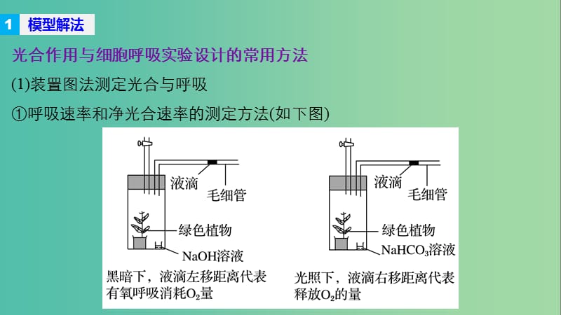 高考生物大二轮专题复习与增分策略 热点题型建模 模型4 光合速率的测定与实验探究课件.ppt_第2页