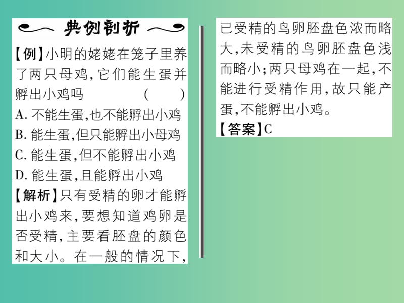 八年级生物下册 第七单元 第一章 第四节 鸟的生殖和发育课件 （新版）新人教版.ppt_第3页