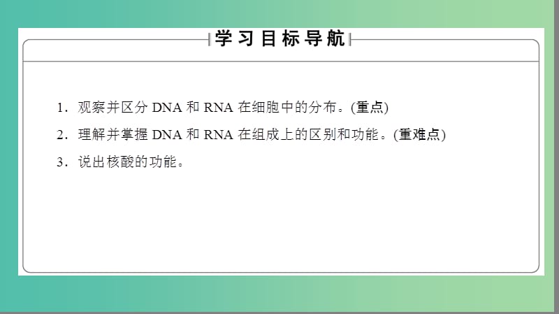 高中生物 第2章 组成细胞的分子 第3节 遗传信息的携带者——核酸课件 新人教版必修1.ppt_第2页