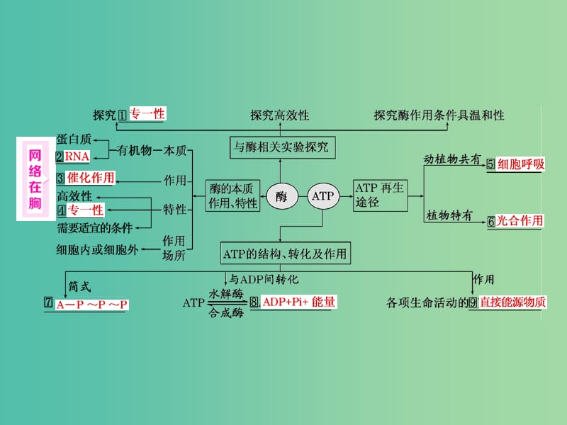 高考生物二轮复习 第一部分 专题一 细胞系统 第3讲 第1课时 酶和ATP课件.ppt_第2页